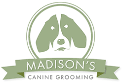 Madison's Canine Grooming