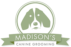 Great Madison Dog Grooming  Learn more here 